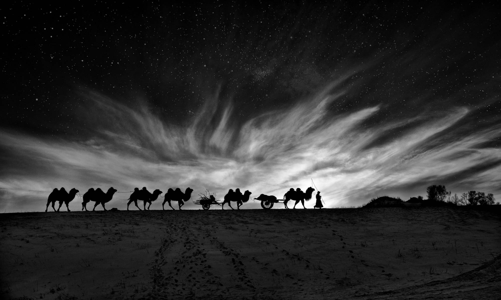 Караван звезд. Ночной Караван в пустыне. Ночной Караван. Пустыня ночью. Караван ночью.